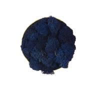 Lichene Stabilizzato Vero 100% Naturale, 250g - Muschio Scandinavo Conservato per Decorazioni - Ideale per Parete Verde, Terrario, Presepi, Modellismo e Composizioni Fai da Te (Blu Scuro, 250g)