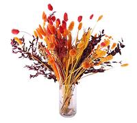 LICHENGTAI Erba di Pampa Essiccata Decorazione di Erba di Pampa Naturali Bouquet di Fiori Secchi Decorative Erba della Pampas Pampa Naturale per Matrimoni, Feste, Decorazioni Boho 100 Pezzi