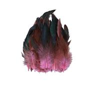 LICHENGTAI Piume di Fagiano di Pavone Naturali Piccole 100 Pezzi, Piume di Pollo Lunghe 14-20CM Piume Naturali di Fagiano Piume Decorative per DIY Dream Catchers Craft Abbigliamento Fai da Te