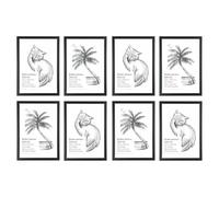 Licht-Erlebnisse Cornici DIN A3 Set da 8 Nero 45 x 32,5 cm Legno Plastica infrangibile Cornici per foto Formato verticale e orizzontale
