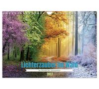Lichterzauber im Wald (Wandkalender 2027 DIN A4 quer), CALVENDO Monatskalender