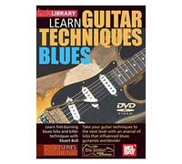 Lick Library: Stevie Ray Vaughan Guitar Techniques