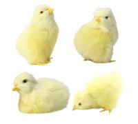 Licsaliwe Simulazione Peluche Pulcino Giocattoli 4 Pezzi 4 Pose - Realistico Animale Pasquale per Oggetti fotografici Primaverili Cestino Decorazione Pollo Pasquale