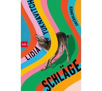 Lidia Yuknavitch Claudia Max Schläge: Erzählungen (Tascabile)