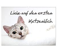 Liebe auf den ersten Katzenblick (Wandkalender 2026 DIN A3 quer), CALVENDO Monatskalender: Verführerische Katzengesichter für das ganze Jahr.
