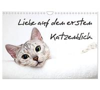 Liebe auf den ersten Katzenblick (Wandkalender 2026 DIN A4 quer), CALVENDO Monatskalender: Verführerische Katzengesichter für das ganze Jahr.