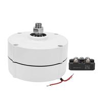 LiebeWH Generatore Turbina di Generatore a Magneti Permanenti Alternatore CA Trifase Elettrico AVAN-100w Forniture Industriali(con Raddrizzatore 12V)