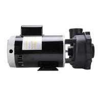 LiebeWH Pompa per Piscina Spa 3721621-1D Executive 56 Frame 2 velocità 4 Pompa dell'Acqua per Un'efficiente Circolazione dell'Acqua per Proprietari di Piscine e Spa