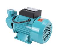LiebeWH Pompa per Trasferimento Acqua 0,75 50 L/min Testa Centrifuga da 50 M per Pozzo da Giardino