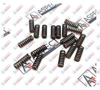 Liebherr LPVD100 Spring of Ball guide set di 18 pezzi