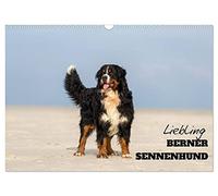Liebling BERNER SENNENHUND (Wandkalender 2026 DIN A3 quer), CALVENDO Monatskalender: Ihre Schönheit und Gutmütigkeit macht die Schweizer Sennenhunde so beliebt