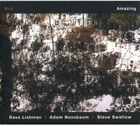 Liebman Dave - Amazing