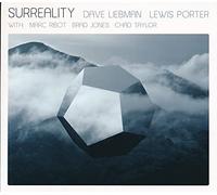 Liebman Dave, Porter - Surreality