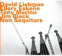 Liebman, David - Non Sequiturs