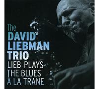 Liebman David Trio - Lieb Plays the Blues a la Tr