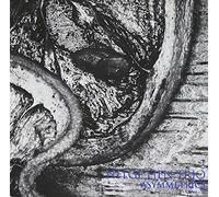 Lien, Helge Trio - Asymmetrics