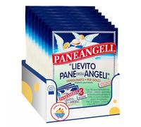 Lievito per Dolci Vanigliato Istantaneo - 3 Buste da 48 g - Agente Lievitante per Torte, Pan di Spagna e Biscotti - Variazioni 4/8/12 Pezzi (8 PEZZI)