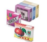 Ecol LIEVITO VIVO 100 TAVOLETTE 750