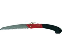 LIF Segaccio a Serramanico cm 18 PS806