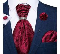 LiFBeauTiFul Cravatte Ascot Rosse Classiche Bordeaux Sciarpa Tessuta a Righe di Seta Cravatta Cravatta Gemelli da Taschino for Uomo Cravatta da Sposa Set Anello Home (Color : AS-2039-JZ04-XH0122)