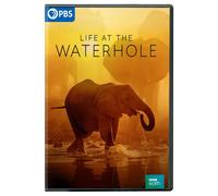 Life at the Waterhole