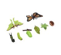 Life Cycle Figurine Set, Dettagliate Rappresentazioni in PVC