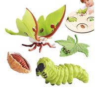 Life Cycle Kit Toy,Tasteless Life Cycle Figurines Set | Moth, Butterfly, Turtle, Ant, Frog Pp Figures Toy Kit For Improving Children's Cognitive Ability