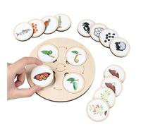 Life Cycle Kit - Wood Toys Life Cycle | Nature Game Teaching Aids Toy For Interaction Game 3 4 5 6-Year-Old Boys And Girls