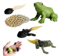 Life Cycle Toys - Realistic Animal Figurines For Kids