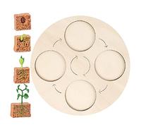 Life Growth Cycle Board Early #Educational for Preschool Kids Plant