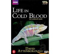 Life In Cold Blood