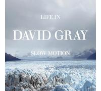Gray, David - Life in Slow Motion -20th Anniversary Edition-