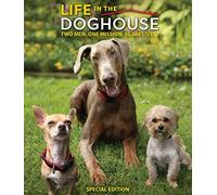 Life In The Doghouse
