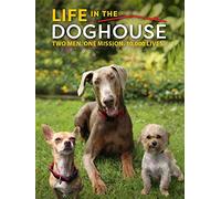 Life In The Doghouse - Life In The Doghouse
