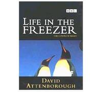 Life in the Freezer [Region 2] by David Attenborough