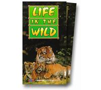 Life in the Wild - La vita nella natura selvaggia