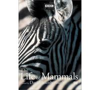 Life of Mammals 1
