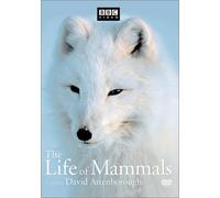 Life of Mammals 2