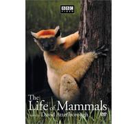 Life of Mammals 3