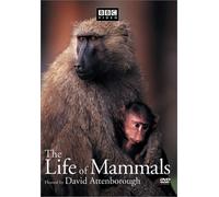 Life of Mammals 4