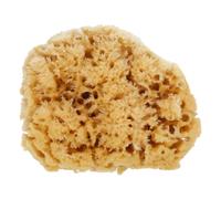 Life Spugna da bagno naturale