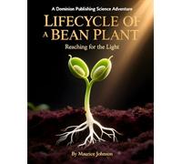 Lifecycle of a Bean Plant: Reaching for the Light
