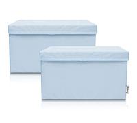 LIFENEY Set di 2 contenitori per bambini (37 x 25 x 21 cm), cestino portaoggetti per cameretta dei bambini e salotto (azzurro)