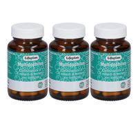 LIFEPLAN® Multidophilus 3x22 g Capsule