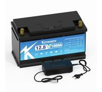 Lifepo4 Batteria 12v 100AH al litio con celle di grado A e BMS 100A per Trolling Motor Camping Sistema solare Lawn Mover Applicazione domestica Supporto Serie e Parallelo