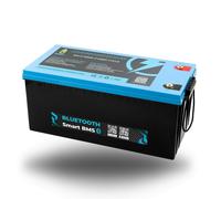 LiFePO4 Batteria 12V 24V 36V 48V - 50Ah 100AH 200Ah 300Ah 400Ah Bluetooth/LED
