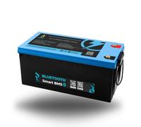 LiFePO4 Batteria 12V 24V 36V 48V - 50Ah 100AH 200Ah 300Ah 400Ah Bluetooth/LED