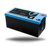 LiFePO4 Batteria 12V 24V 36V 48V - 50Ah 100AH 200Ah 300Ah 400Ah Bluetooth/LED