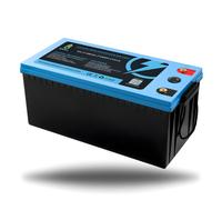 LiFePO4 Batteria 12V 24V 36V 48V - 50Ah 100AH 200Ah 300Ah 400Ah Bluetooth/LED