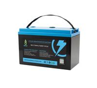 LiFePO4 Batteria 12V 24V 36V 48V - 50Ah 100AH 200Ah 300Ah 400Ah Bluetooth/LED